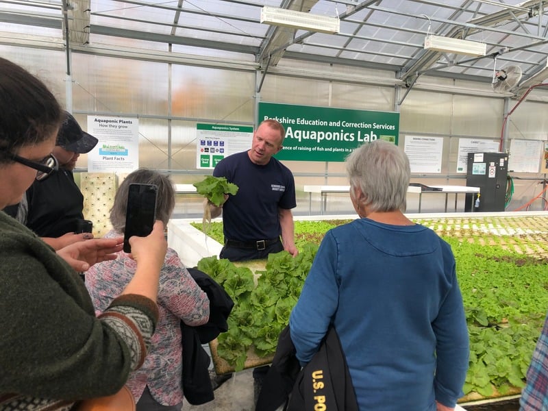 A man in a blue shirt is holding a head of lettuce while explaining aquaponics to a group of people inside a greenhouse. The background features signs that say 'Aquaponics Lab' and 'Berkshire Education and Correction Services.' The greenhouse contains green lettuce plants growing in a hydroponic system.
