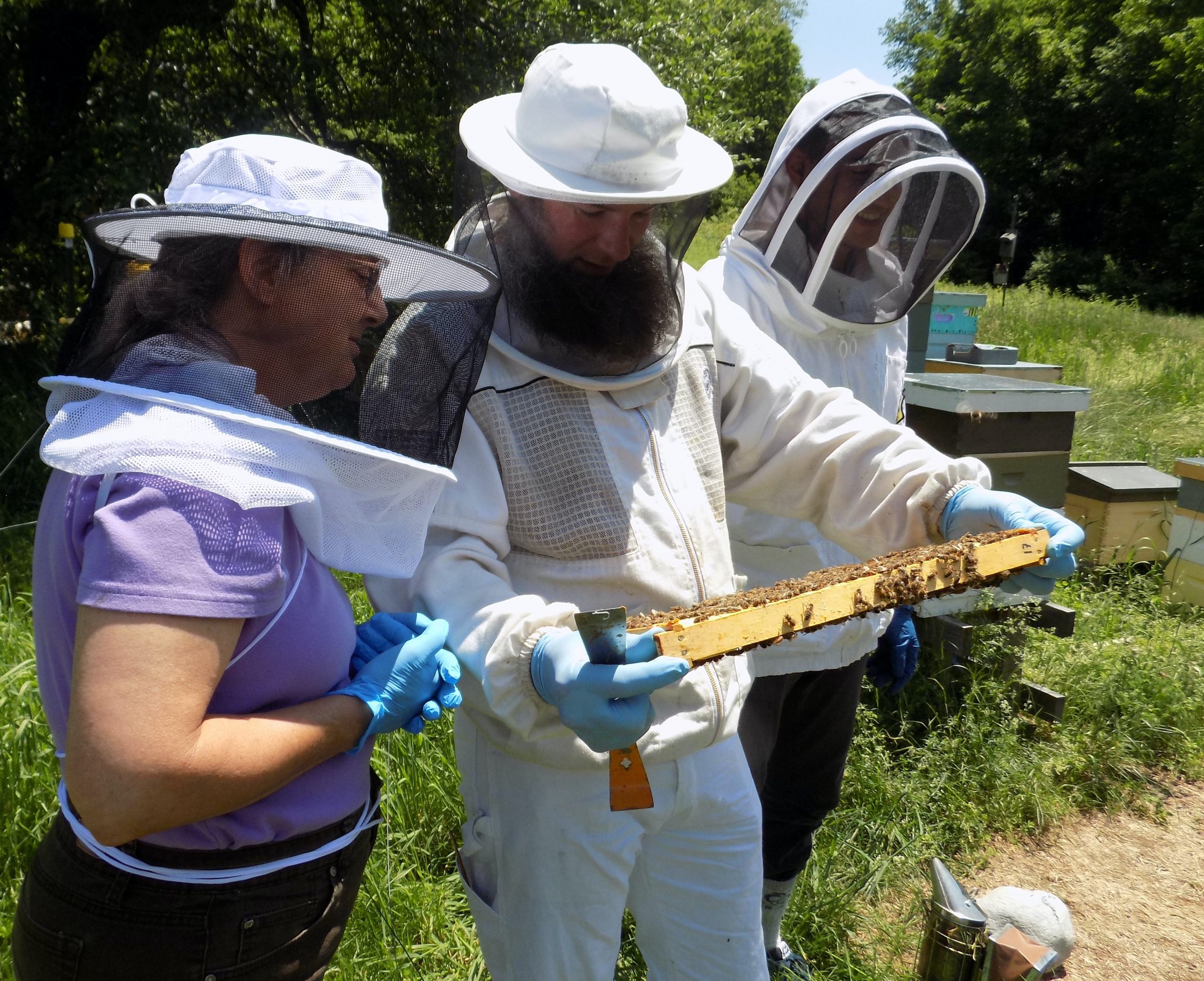 Three beekeepers in protective gear examining a honeycomb frame outdoors, surrounded by beehives in a grassy field.