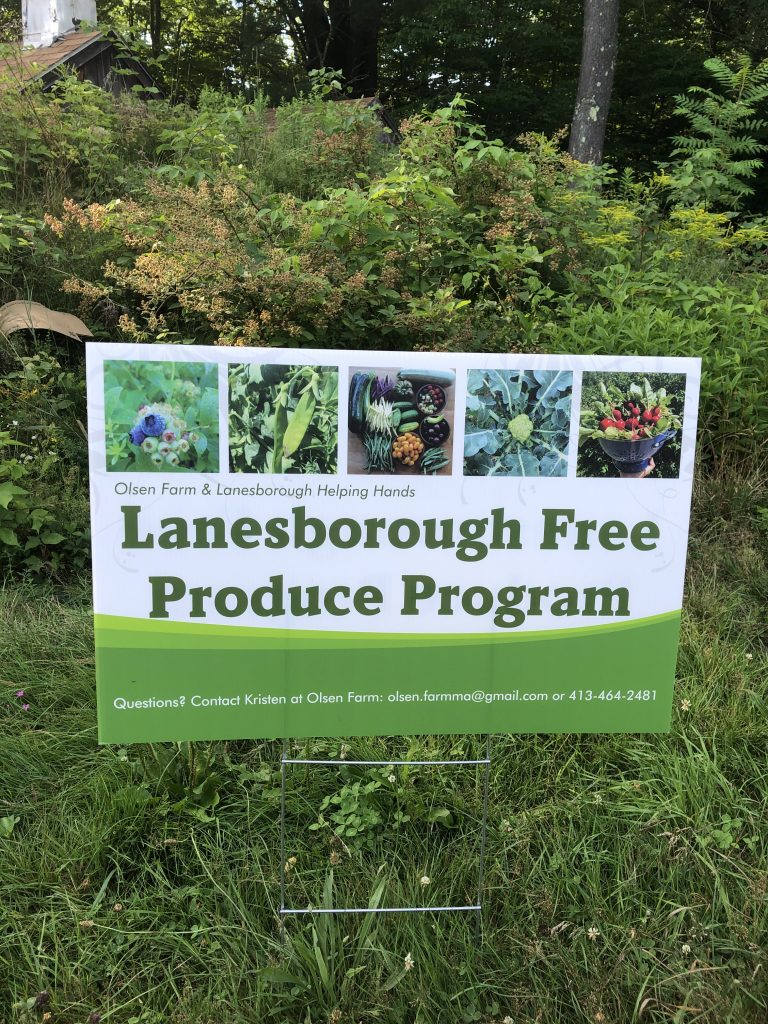 Sign for "Lanesborough Free Produce Program" with photos of vegetables and contact information in a grassy setting.