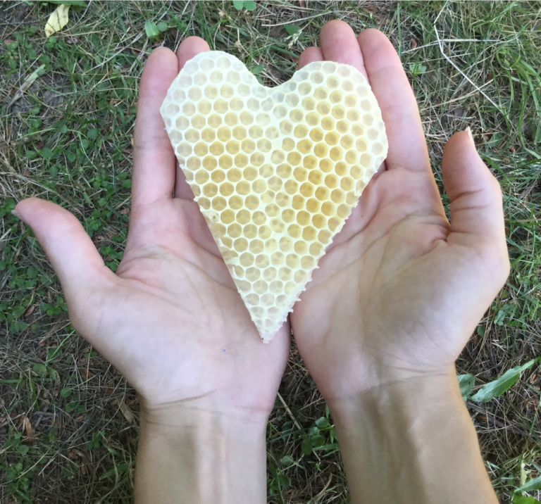 Two hands holding a heart-shaped piece of honeycomb over grass.