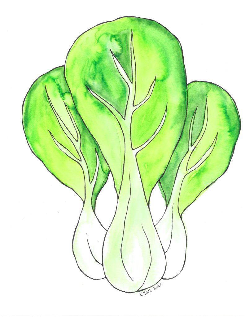 Watercolor illustration of vibrant green bok choy with white stems.