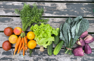 An assortment of colorful farm-fresh vegetables, including tomatoes, carrots, yellow tomatoes, lettuce, cucumbers, kale, and purple bell peppers, arranged on a rustic wooden table.