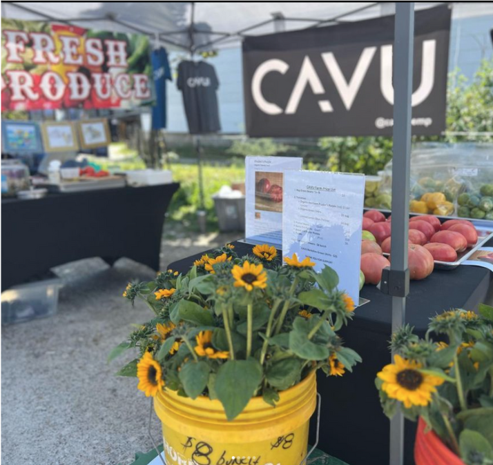 A farmers' market stand displaying fresh produce, sunflowers in a yellow bucket, and promotional materials under a tent with "CAVU" and "Fresh Produce" banners.