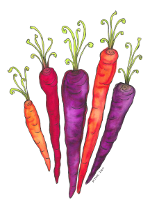 Watercolor illustration of vibrant orange, red, and purple carrots with curly green tops.