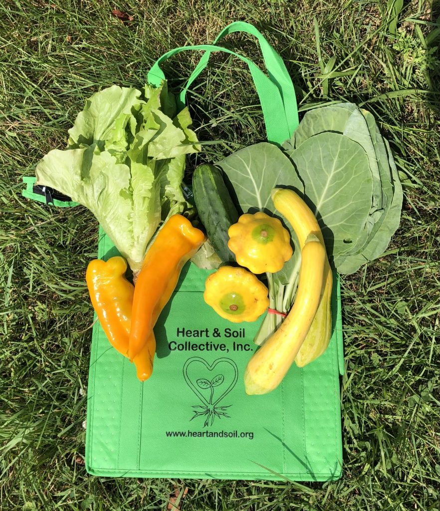 A green reusable bag from Heart & Soil Collective filled with fresh vegetables, including lettuce, peppers, squash, and collard greens, placed on grass.