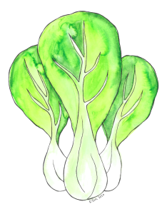 Watercolor illustration of vibrant green bok choy with white stems.